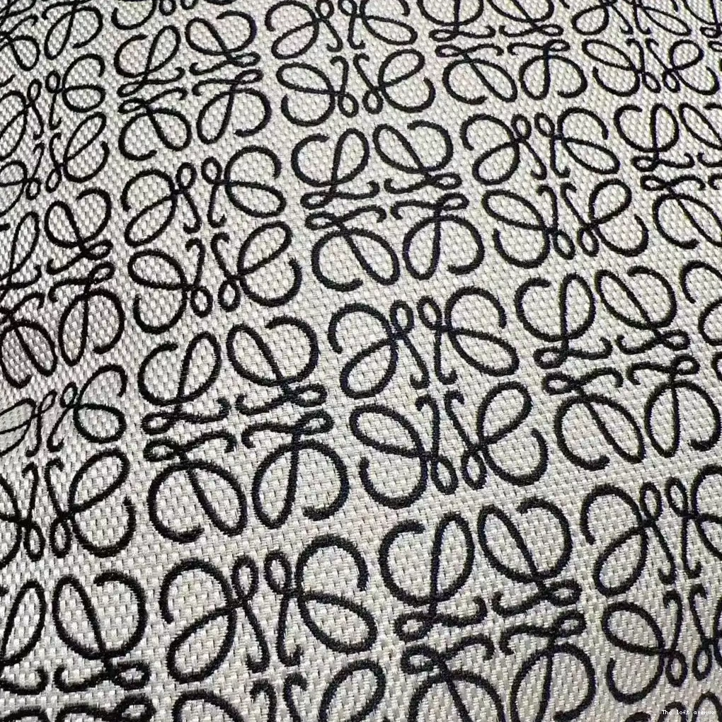 THROW LOEWE PILLOW 0608
